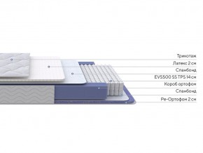 PROxSON Матрас Active Duo S/F (Ткань Трикотаж Эко) 120x190 в Тарко-Сале - tarko-sale.mebel24.online | фото 2