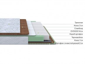 PROxSON Матрас Green Duo M/F (Tricotage Dream) 80x200 в Тарко-Сале - tarko-sale.mebel24.online | фото 1