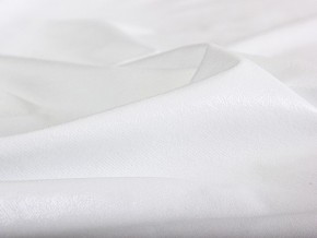 PROxSON Защитный чехол Aqua Save Light Top (Ткань влагостойкая Tencel Jersey) 120x200 в Тарко-Сале - tarko-sale.mebel24.online | фото 5