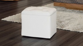 Пуф-сундук Т4 в Тарко-Сале - tarko-sale.mebel24.online | фото 3