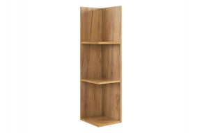 РИЧ Полка навесная 2 в Тарко-Сале - tarko-sale.mebel24.online | фото 4