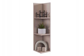 РИЧ Полка навесная 2 в Тарко-Сале - tarko-sale.mebel24.online | фото 6