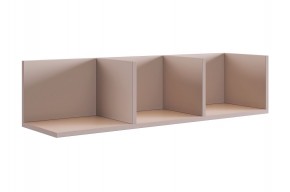 РИЧ Полка навесная 2 (кашемир) в Тарко-Сале - tarko-sale.mebel24.online | фото