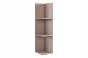 РИЧ Полка навесная 2 (кашемир) в Тарко-Сале - tarko-sale.mebel24.online | фото 4