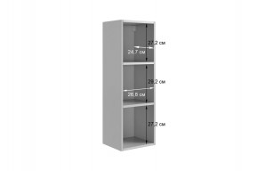 РИЧ Шкаф навесной в Тарко-Сале - tarko-sale.mebel24.online | фото 3