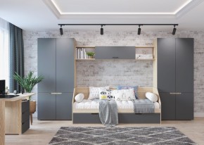 Шкаф 2-х створчатый АНТАЛИЯ (Сонома/Графит софт) в Тарко-Сале - tarko-sale.mebel24.online | фото 3