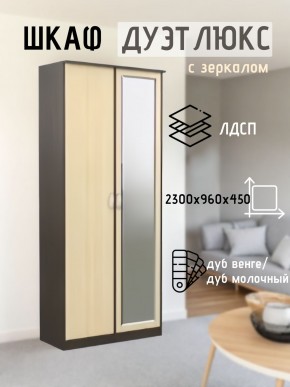 Шкаф 2-х створчатый Дуэт Люкс с зеркалом в Тарко-Сале - tarko-sale.mebel24.online | фото