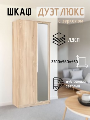 Шкаф 2-х створчатый Дуэт Люкс с зеркалом в Тарко-Сале - tarko-sale.mebel24.online | фото 7