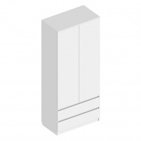 Шкаф 2-ств. с 2 ящиками "Бьянко" в Тарко-Сале - tarko-sale.mebel24.online | фото