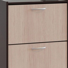 Шкаф для обуви ТО-24 в Тарко-Сале - tarko-sale.mebel24.online | фото 4