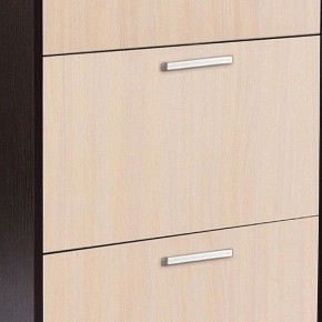 Шкаф для обуви УК-4 в Тарко-Сале - tarko-sale.mebel24.online | фото 2