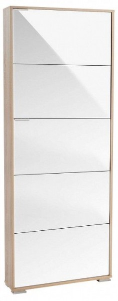 Шкаф для обуви Viva-5LW в Тарко-Сале - tarko-sale.mebel24.online | фото