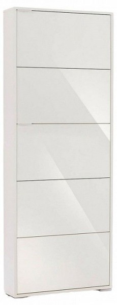 Шкаф для обуви Viva-5S в Тарко-Сале - tarko-sale.mebel24.online | фото