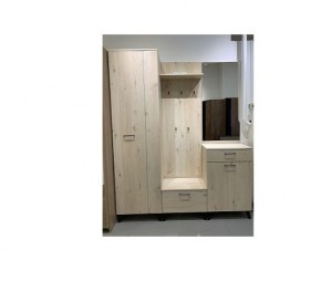 Шкаф для одежды 2-х дверный София 1 в Тарко-Сале - tarko-sale.mebel24.online | фото 6