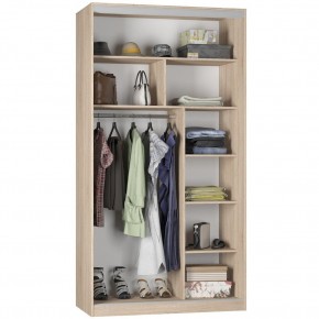 Шкаф-купе B-220х120х60-1 "Белла" в Тарко-Сале - tarko-sale.mebel24.online | фото