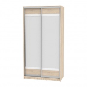 Шкаф-купе B-220х120х60-2 "Белла" (D10D10) в Тарко-Сале - tarko-sale.mebel24.online | фото