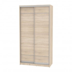 Шкаф-купе B-220х120х60-2 "Белла" (D7D7) в Тарко-Сале - tarko-sale.mebel24.online | фото