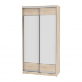 Шкаф-купе B-220х120х60-2 "Белла" (D8D8) в Тарко-Сале - tarko-sale.mebel24.online | фото