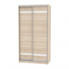 Шкаф-купе B-220х120х60-2 "Белла" (D9D9) в Тарко-Сале - tarko-sale.mebel24.online | фото
