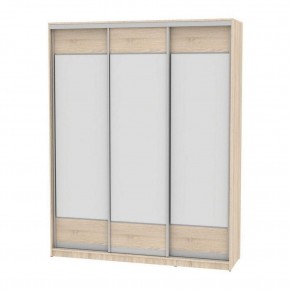 Шкаф-купе B-220х200х60-2 "Белла" (D8D8D8) в Тарко-Сале - tarko-sale.mebel24.online | фото