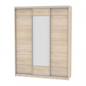 Шкаф-купе B-220х200х60-3 "Белла" (D7D8D7) в Тарко-Сале - tarko-sale.mebel24.online | фото