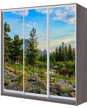 Шкаф-купе ХИТ 22-4-20/2-777 ПРИРОДА в Тарко-Сале - tarko-sale.mebel24.online | фото
