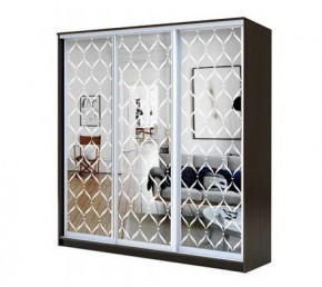 Шкаф-купе ХИТ 22-4-20-666 СЕТКА в Тарко-Сале - tarko-sale.mebel24.online | фото