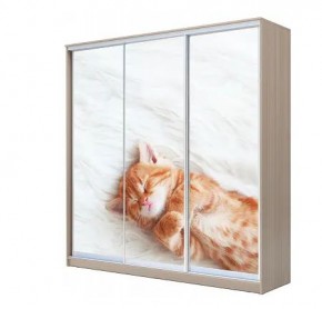 Шкаф-купе ХИТ 22-4-20-777 КОТЕНОК СПЯЩИЙ в Тарко-Сале - tarko-sale.mebel24.online | фото