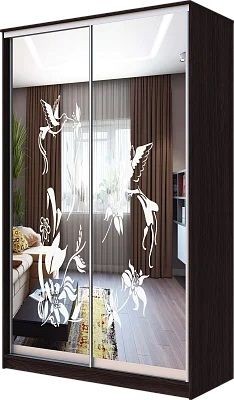 Шкаф-купе ХИТ 23-4-12/2-66 КОЛИБРИ в Тарко-Сале - tarko-sale.mebel24.online | фото