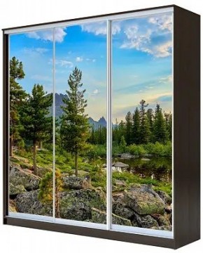 Шкаф-купе ХИТ 23-4-18-777 ПРИРОДА в Тарко-Сале - tarko-sale.mebel24.online | фото