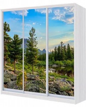 Шкаф-купе ХИТ 23-4-20/2-777 ПРИРОДА в Тарко-Сале - tarko-sale.mebel24.online | фото