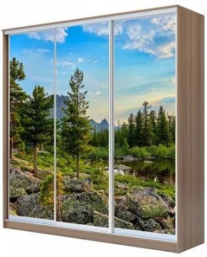 Шкаф-купе ХИТ 24-18-777 ПРИРОДА в Тарко-Сале - tarko-sale.mebel24.online | фото