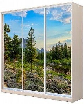 Шкаф-купе ХИТ 24-4-20-777 ПРИРОДА в Тарко-Сале - tarko-sale.mebel24.online | фото