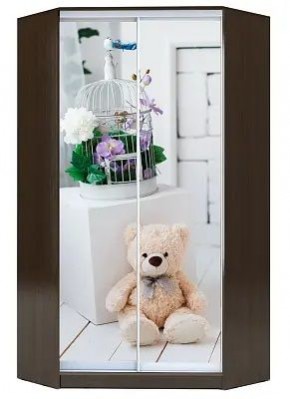 Шкаф-купе ХИТ-У-R-22-64-77 МИШКА В ИНТЕРЬЕРЕ в Тарко-Сале - tarko-sale.mebel24.online | фото