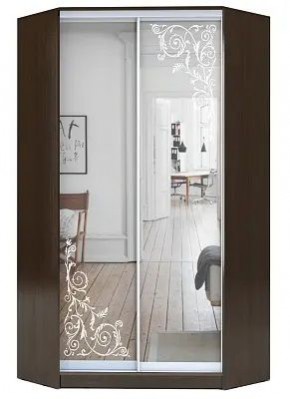 Шкаф-купе ХИТ-У-R-23-64-66 ОРНАМЕНТ в Тарко-Сале - tarko-sale.mebel24.online | фото