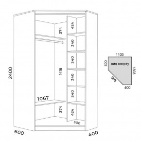 Шкаф-купе ХИТ-У-R-24-64-88 в Тарко-Сале - tarko-sale.mebel24.online | фото 3
