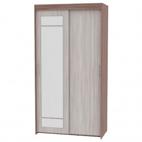Шкаф-купе с зеркалом T-1-230х120х45-M (1-1) в Тарко-Сале - tarko-sale.mebel24.online | фото