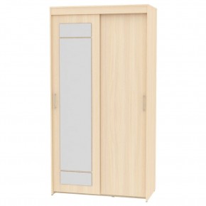 Шкаф-купе с зеркалом T-1-230х120х45-M "ТОП" в Тарко-Сале - tarko-sale.mebel24.online | фото 8