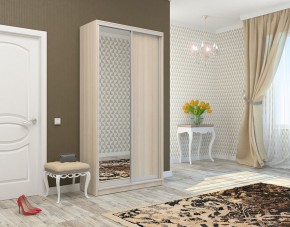 Шкаф-купе София 1100 ЛДСП+Зеркало (ЛДСП 1 кат.) в Тарко-Сале - tarko-sale.mebel24.online | фото 9