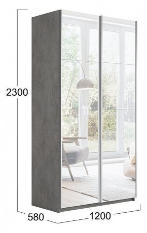 Шкаф-купе Траст СШК 2.120.60-13.13 в Тарко-Сале - tarko-sale.mebel24.online | фото 3