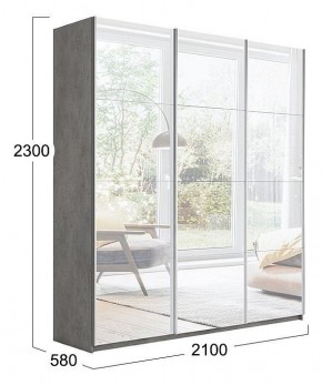 Шкаф-купе Траст СШК 2.210.70-13.13.13 в Тарко-Сале - tarko-sale.mebel24.online | фото 3