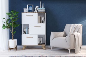 Шкаф низкий с нишами Вега Скандинавия в Тарко-Сале - tarko-sale.mebel24.online | фото 4