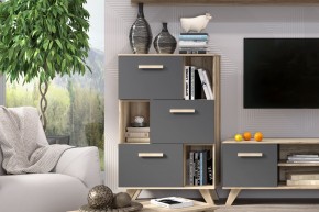 Шкаф низкий с нишами Вега Скандинавия в Тарко-Сале - tarko-sale.mebel24.online | фото 6