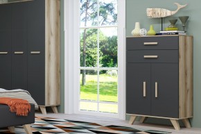 Шкаф низкий Вега Скандинавия в Тарко-Сале - tarko-sale.mebel24.online | фото 8