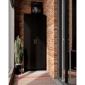 Шкаф ПЕГАС двухдверный, цвет Дуб Венге в Тарко-Сале - tarko-sale.mebel24.online | фото 4