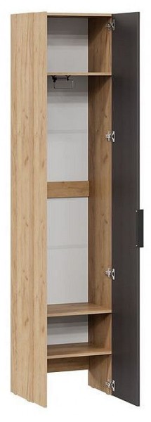 Шкаф платяной Асти в Тарко-Сале - tarko-sale.mebel24.online | фото 2