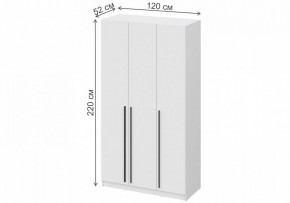 Шкаф платяной Бирма ШК-1200 в Тарко-Сале - tarko-sale.mebel24.online | фото 4