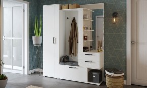 Шкаф платяной Эрика в Тарко-Сале - tarko-sale.mebel24.online | фото 3