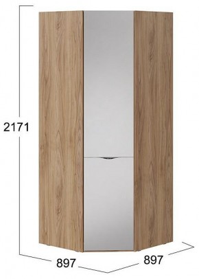 Шкаф платяной Глосс СМ-319.07.312 в Тарко-Сале - tarko-sale.mebel24.online | фото 4