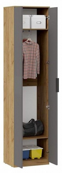Шкаф платяной Хилтон Исп. 2 в Тарко-Сале - tarko-sale.mebel24.online | фото 3